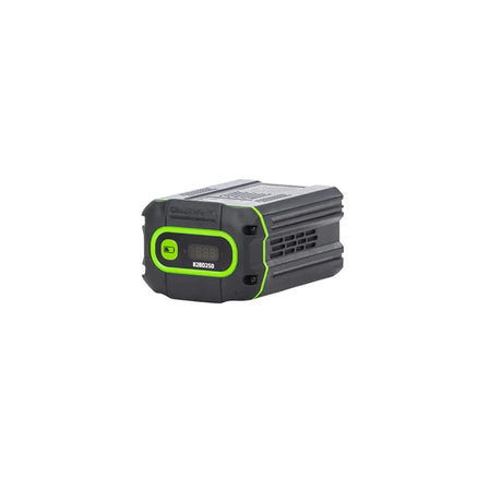 Greenworks 2983302 Batteries