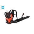 ECHO DPB-5800T Backpack Blower