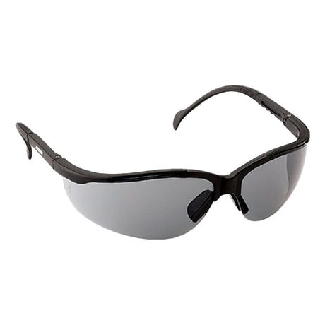 ECHO Traveler Glasses