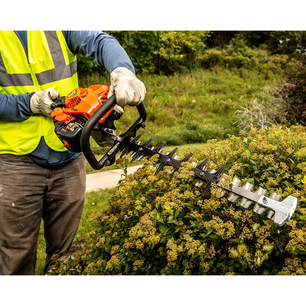 ECHO HC-155 Hedge Trimmer In Use