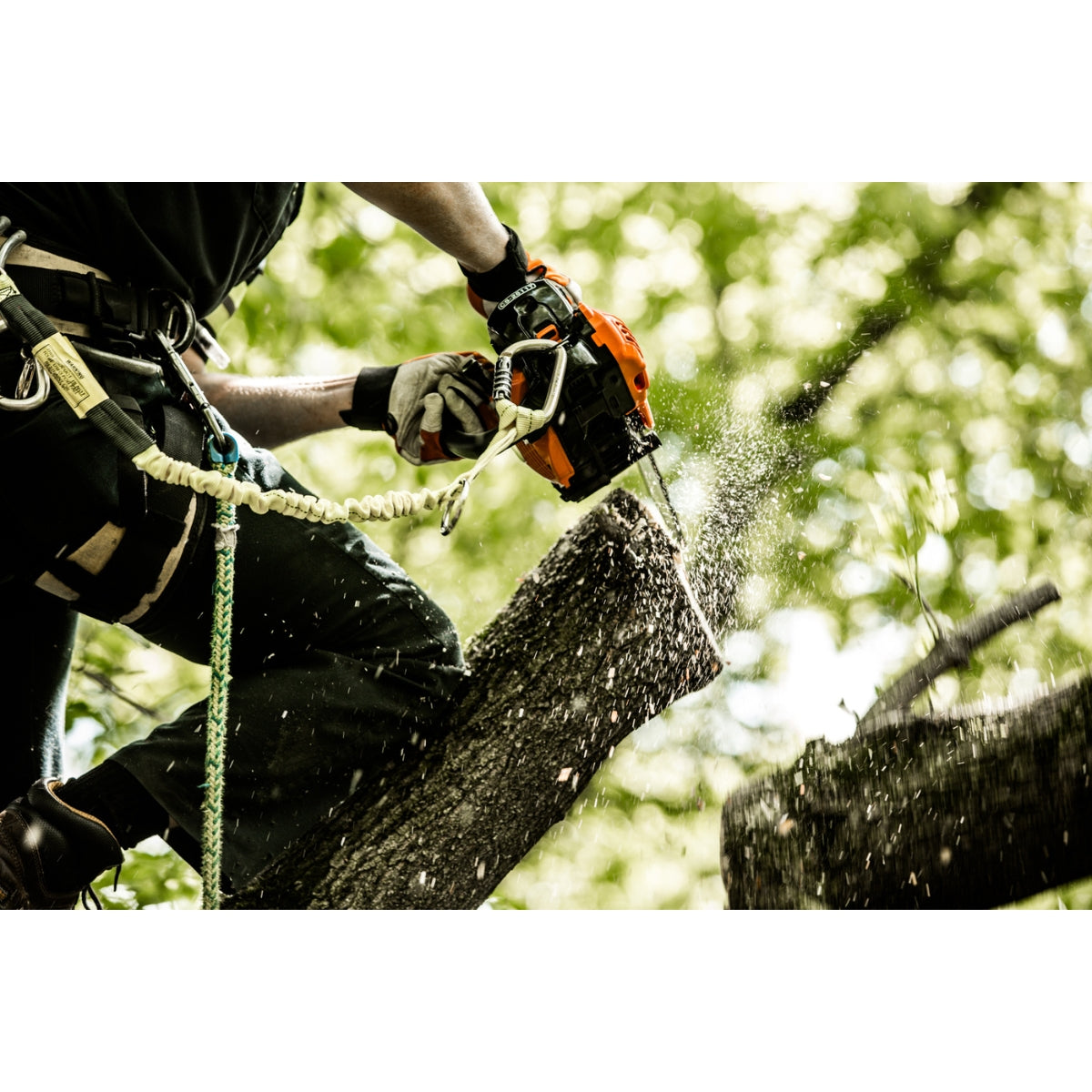 ECHO CS-2511T Chainsaw In Use