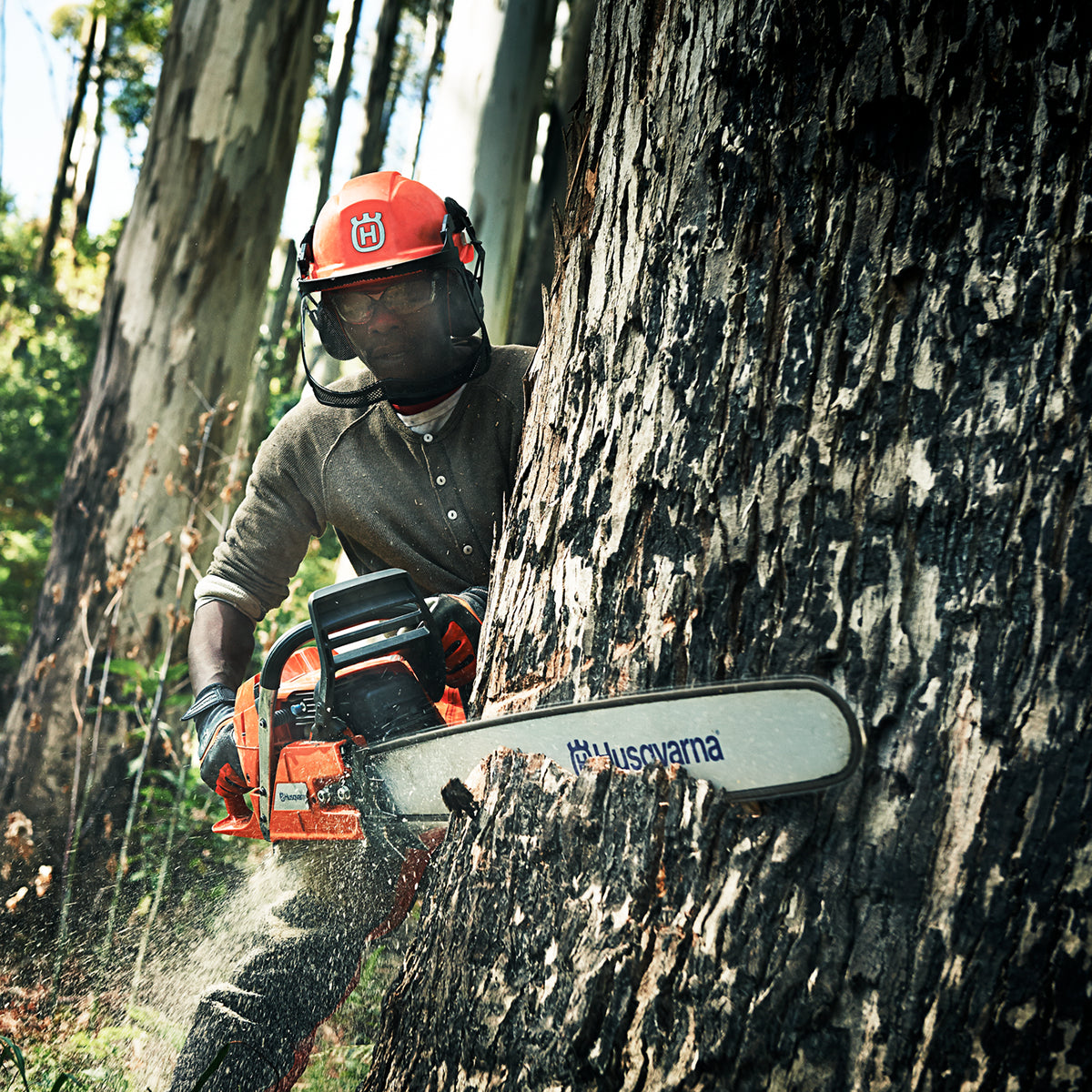 Husqvarna 390 XP Gas Chainsaw In Use