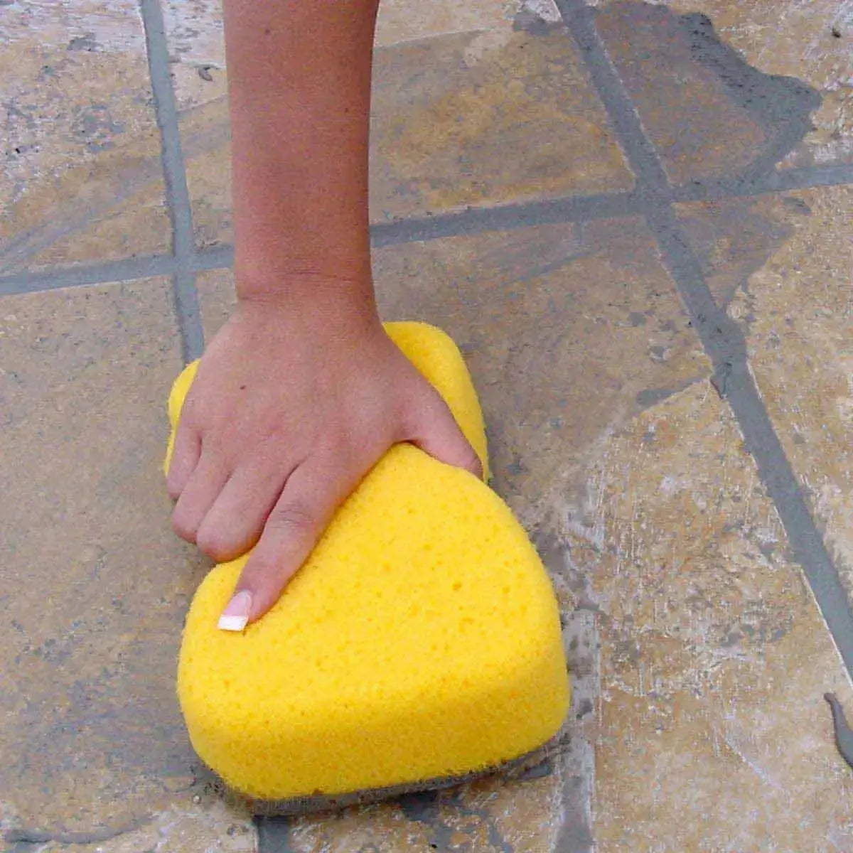 CD Large sponges cleaning