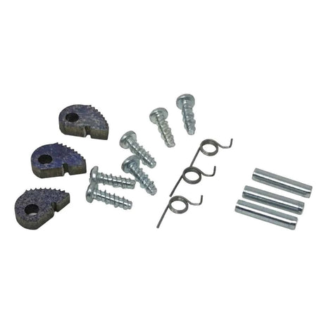 ECHO GT-225i Repair Kit (shafts, springs & screws)