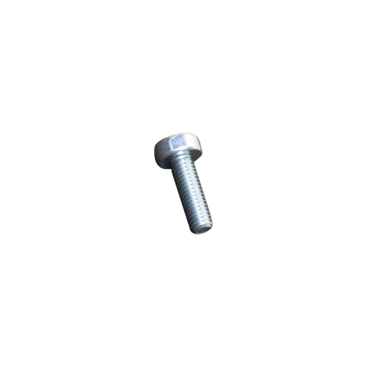 ECHO V806000010 Bolt Torx