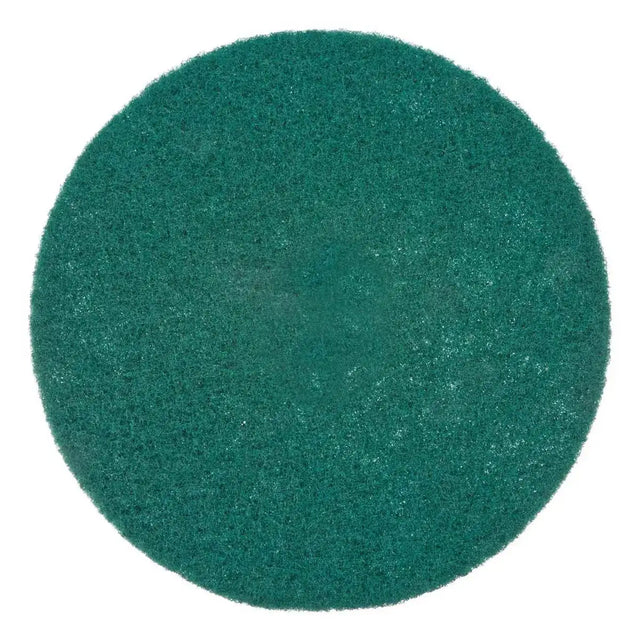 Raimondi Green Scrub Disc