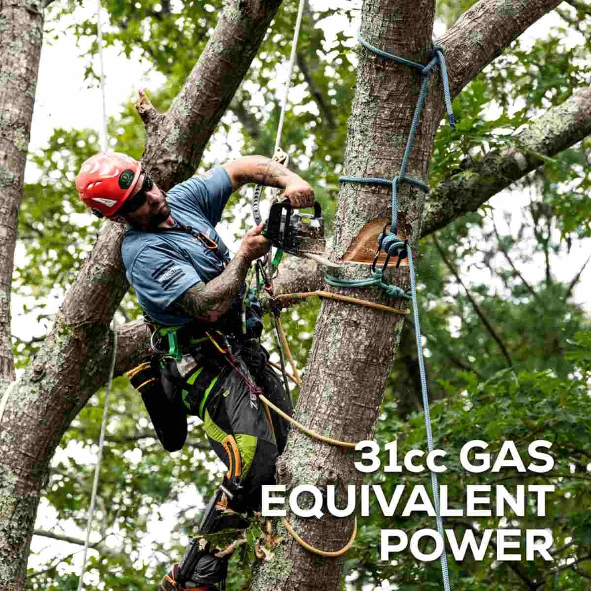 Greenworks 48V 12" Top Handle Chainsaw Kit 31cc Gas Equivalent Power