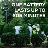 Greenworks 82V Short Pole Hedge Trimmer with 2.5 Ah Battery and Dual Port Charger One Battery Lasts up to 205 Minutes
