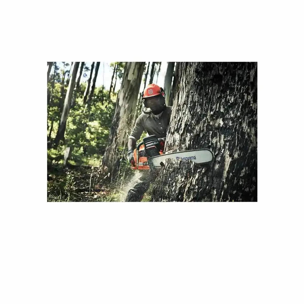 Tree Cutting Gas Chainsaw