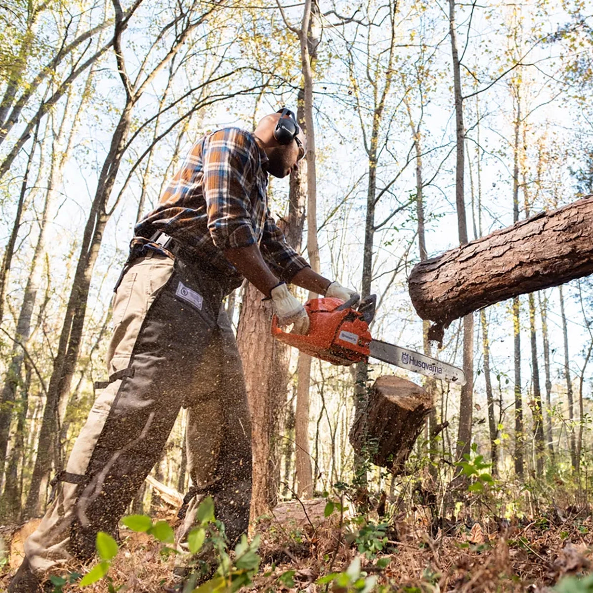 Husqvarna 460 24" Rancher Gas Chainsaw In Use