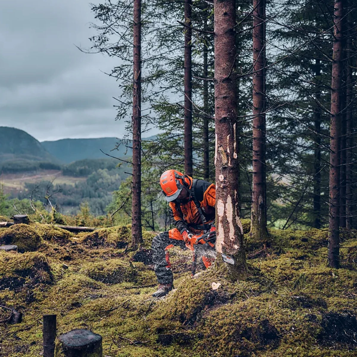 Husqvarna 540 XP Mark III Chainsaw Professional Grade