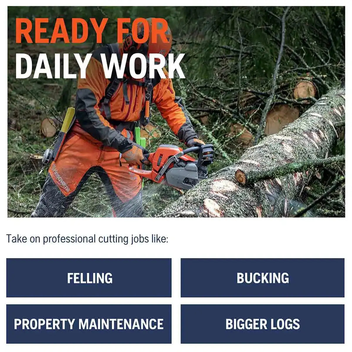 chainsaw tree work