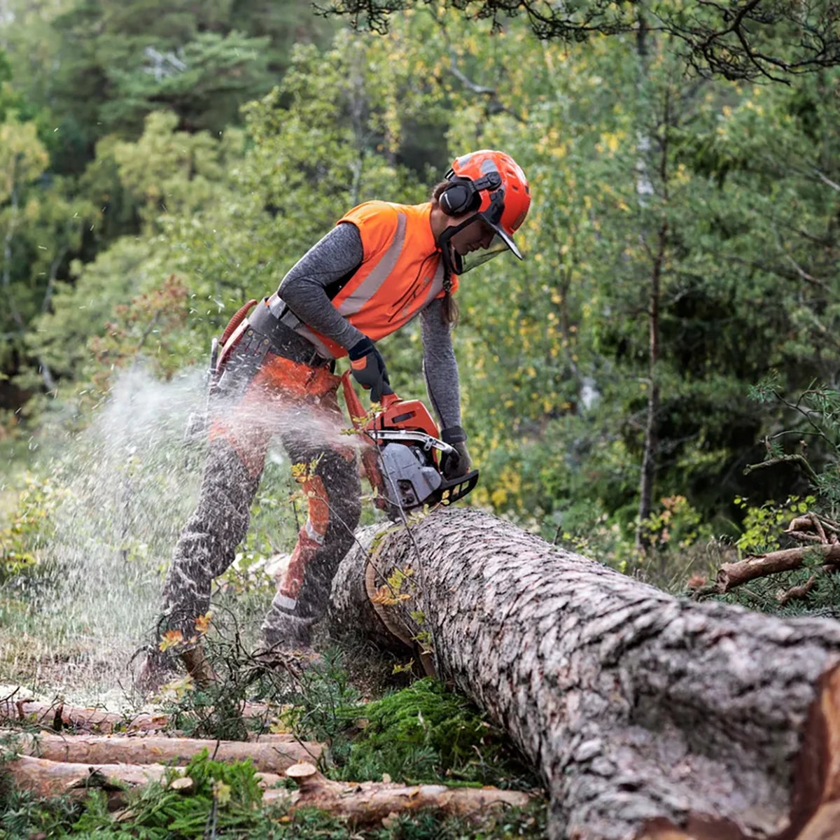 Husqvarna 550 XP G Mark II Chainsaw In Use