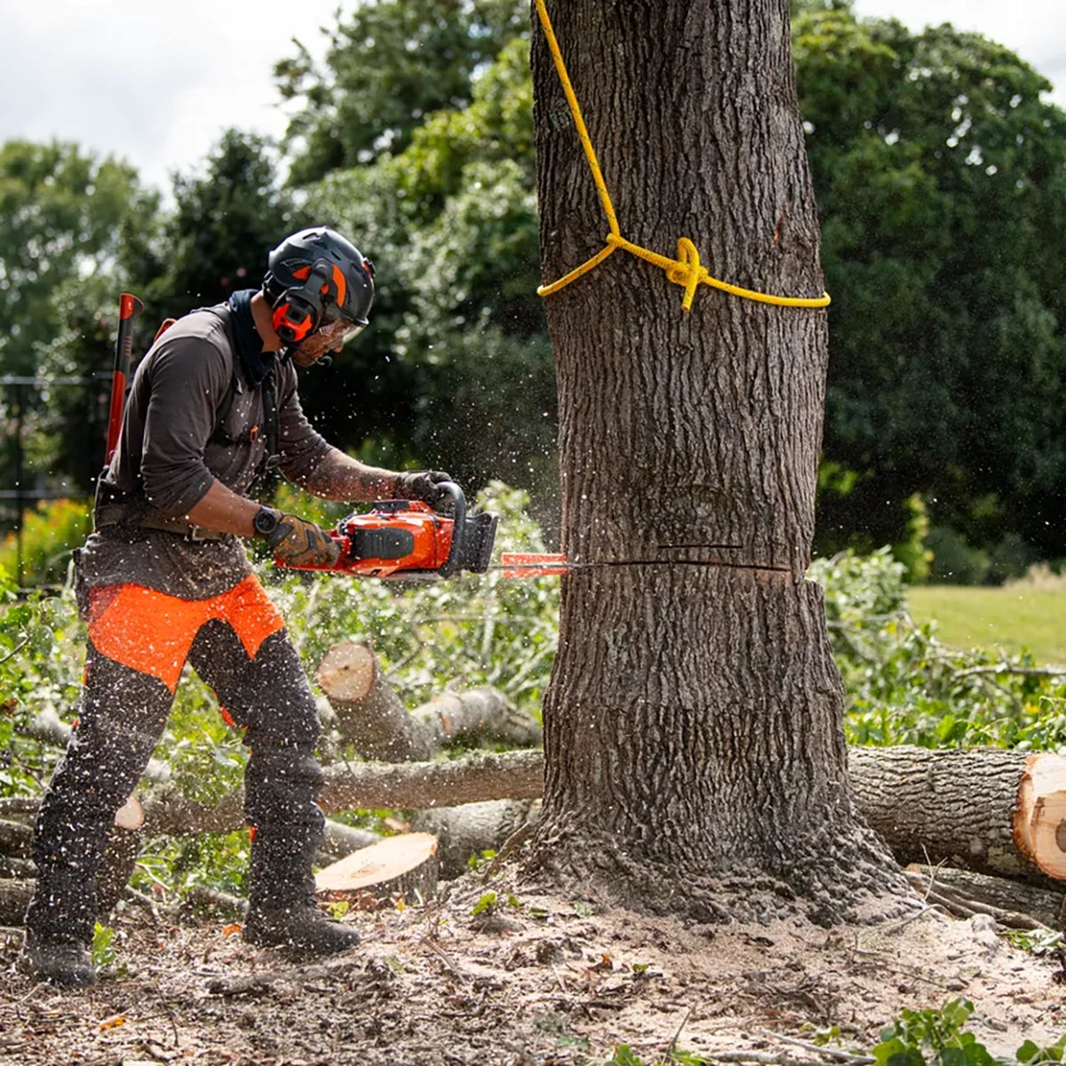 Husqvarna 564 XP Fuel-Injected Chainsaw In Use