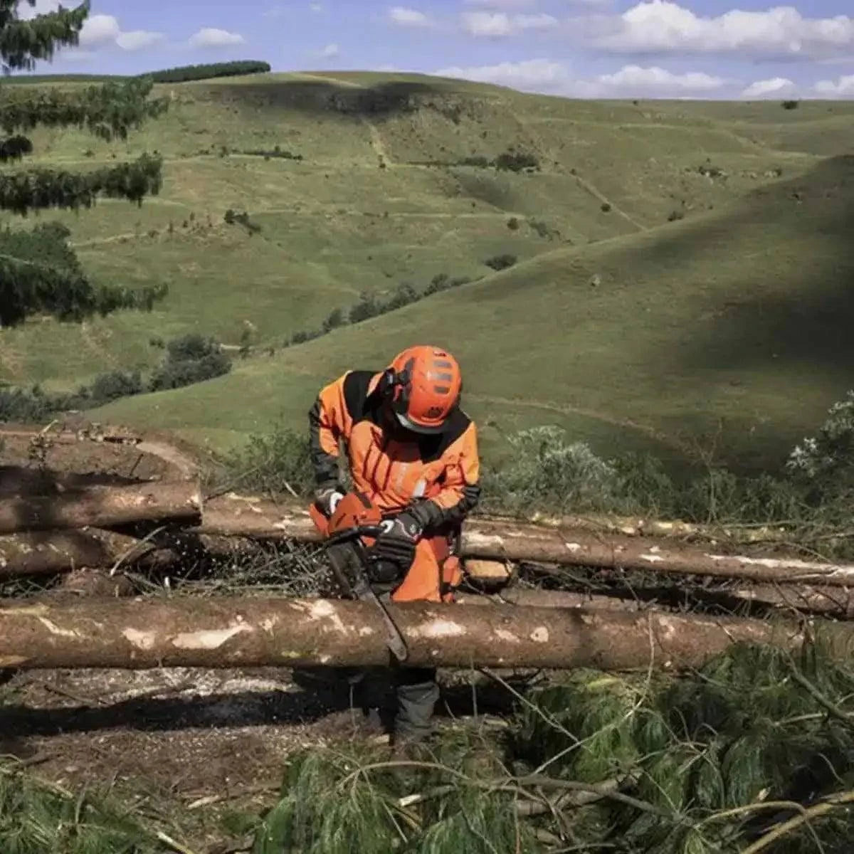 Husqvarna 966733906 565 Chainsaw