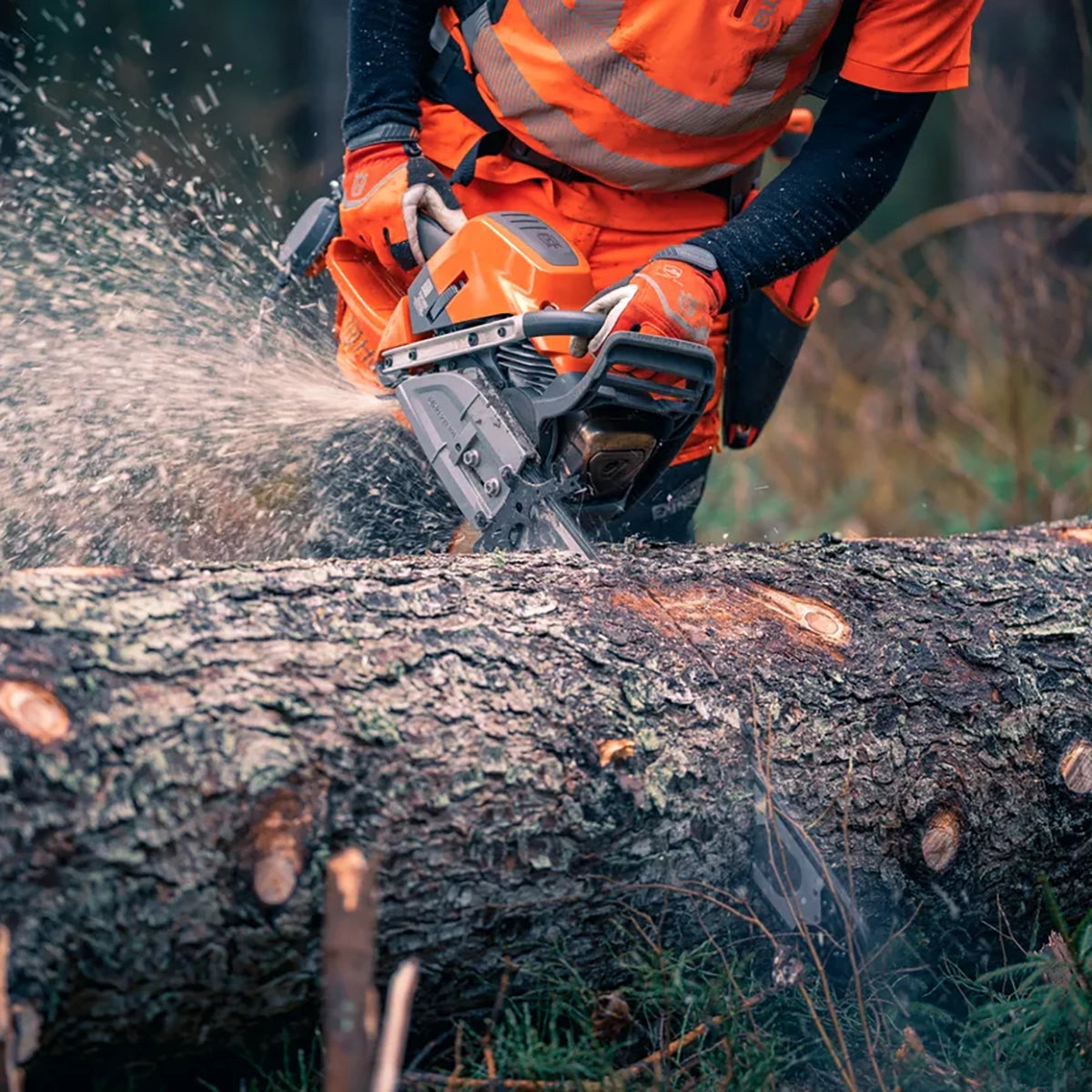 Husqvarna 592 XP G Gas Chainsaw In Use