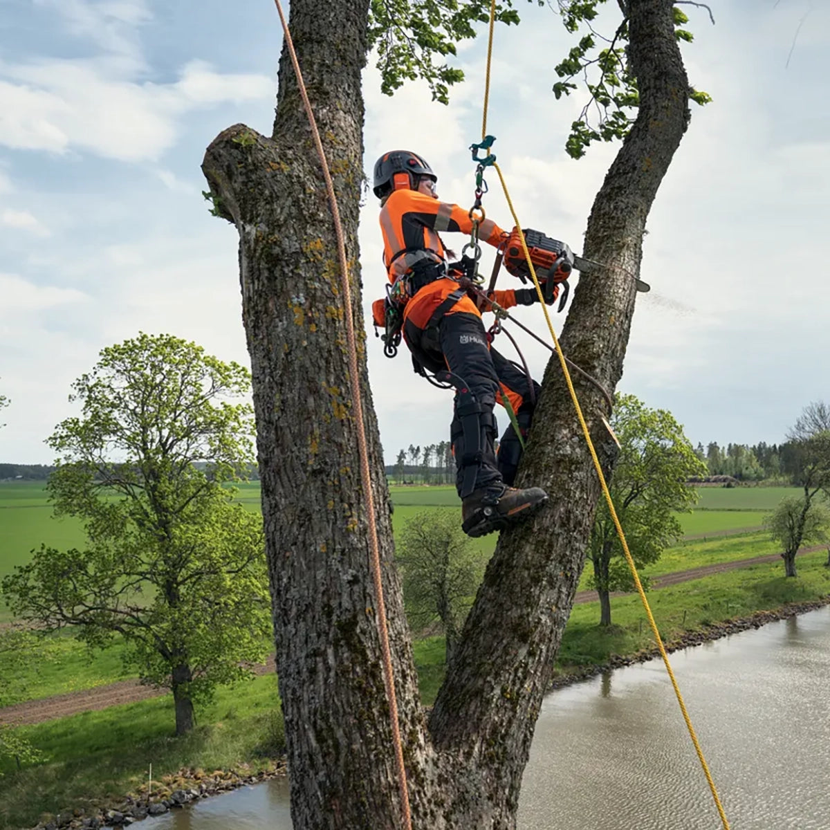 Husqvarna T540 XP Mark III Gas Chainsaw In Use