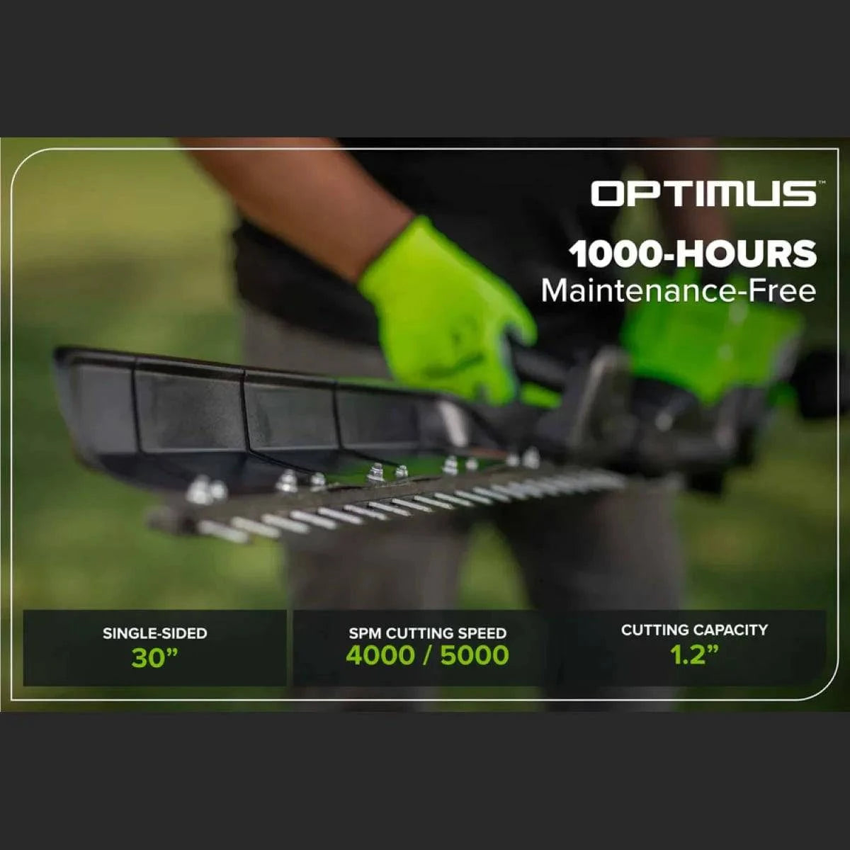 Optimus 82V 30" Single Sided Hedge Trimmer (Tool Only) 1000-Hours Maintenance-Free
