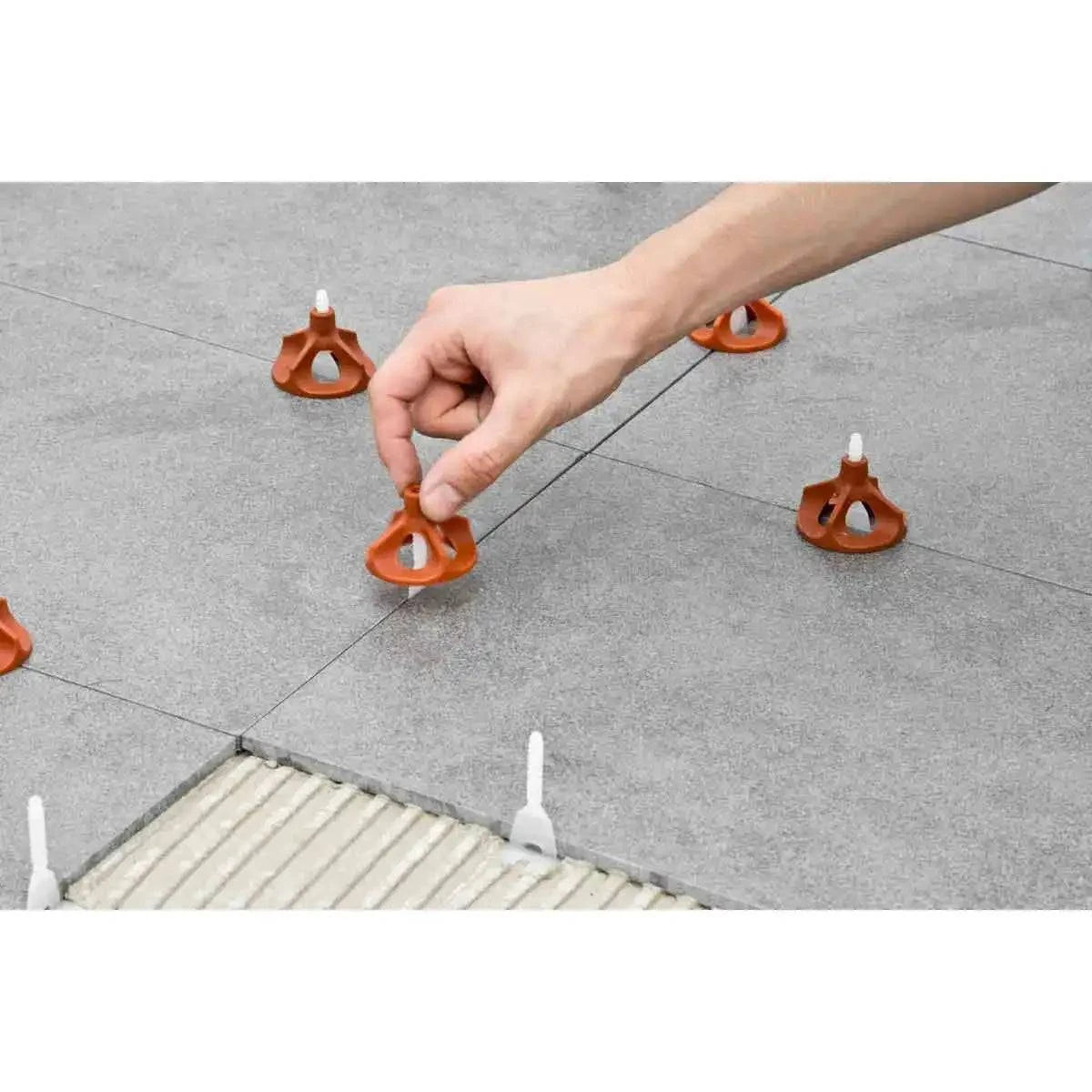 install raimondi vite leveling system