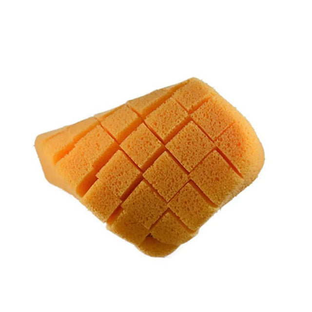 Raimondi XL 7-1/4" x 5-1/4" x 2" Cross-Slit Sponges