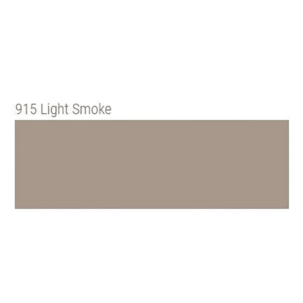 TEC AccuColor 100% Silicone Sealant 10.5 oz. tube light smoke