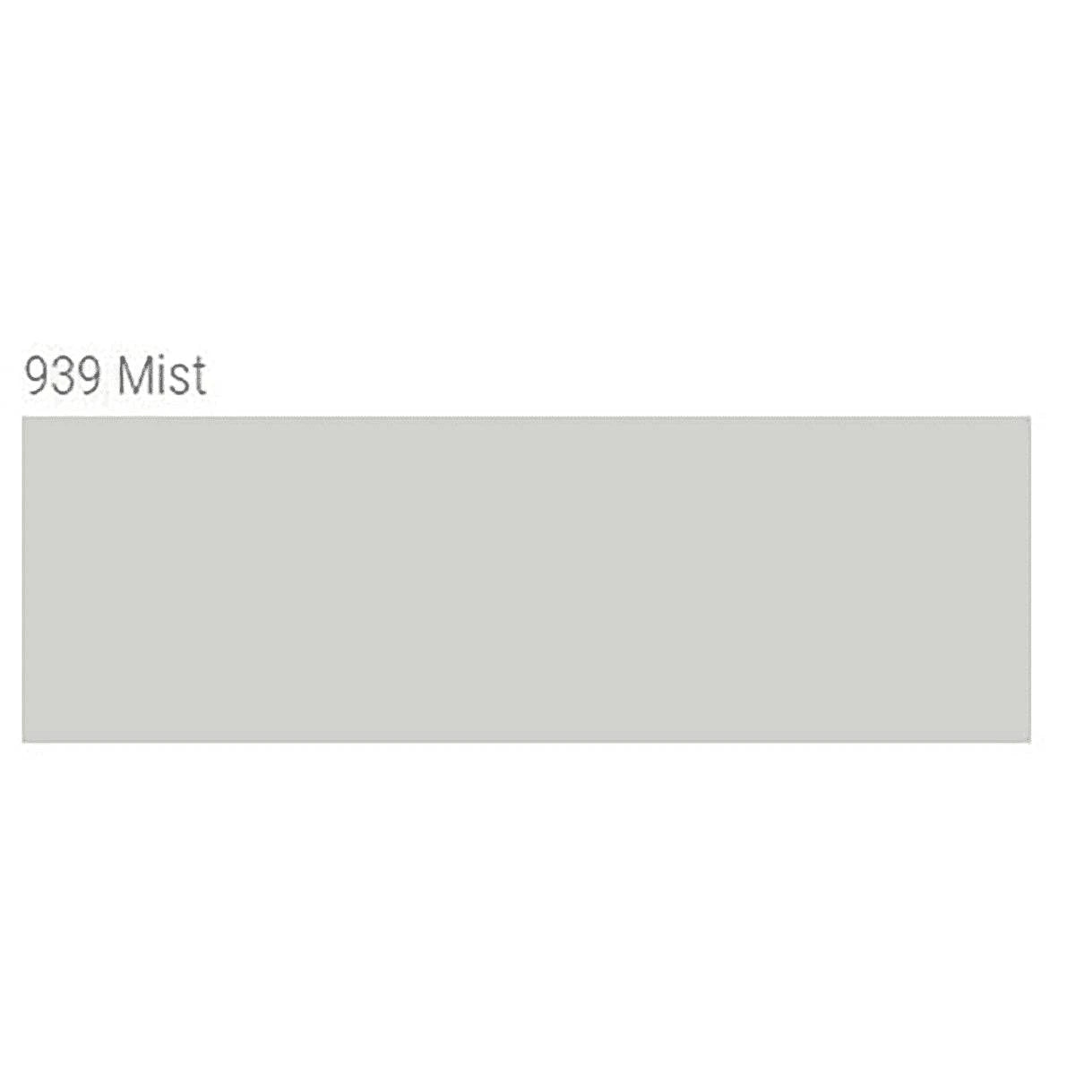 TEC AccuColor 100% Silicone Sealant 10.5 oz. tube mist