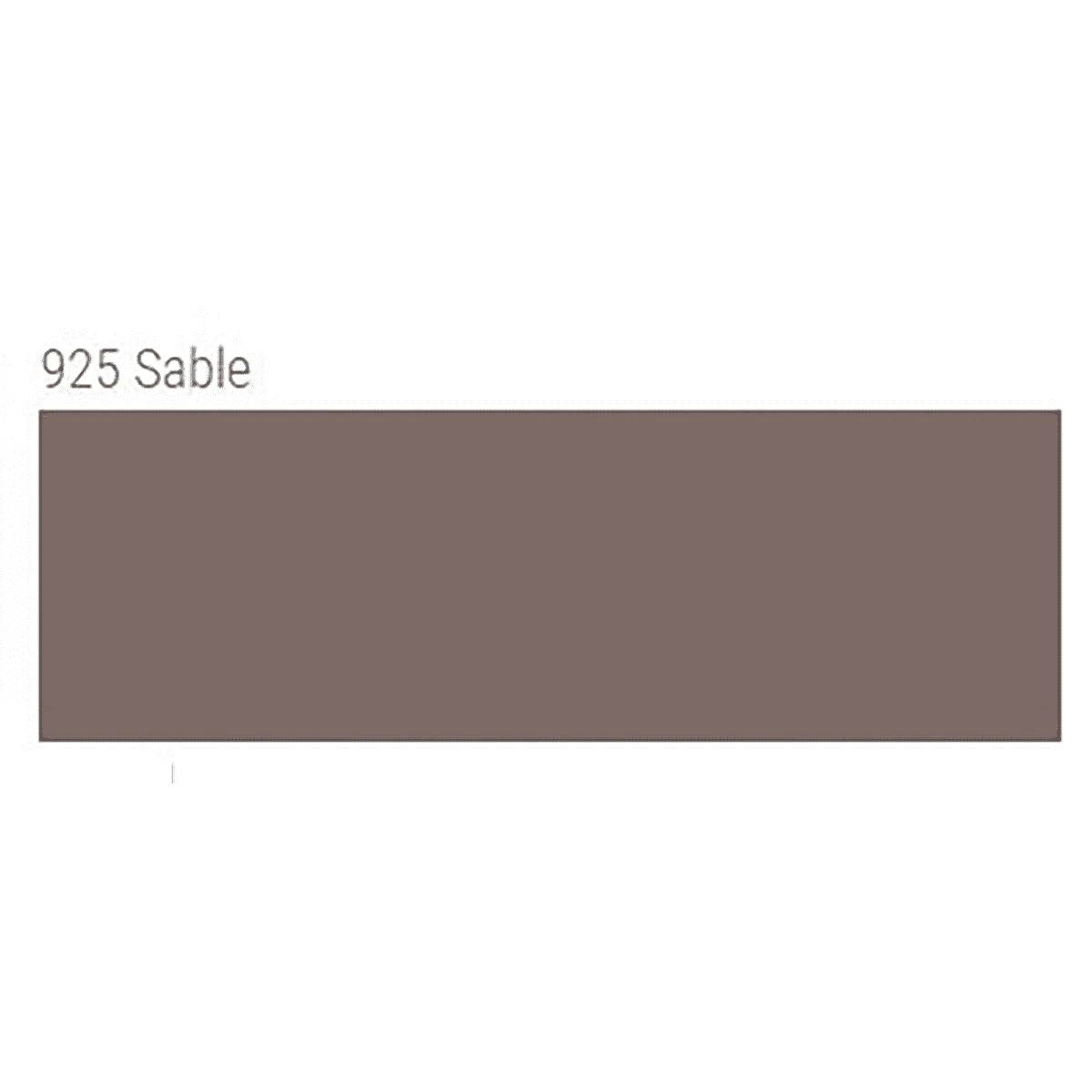 TEC AccuColor 100% Silicone Sealant 10.5 oz. tube sable