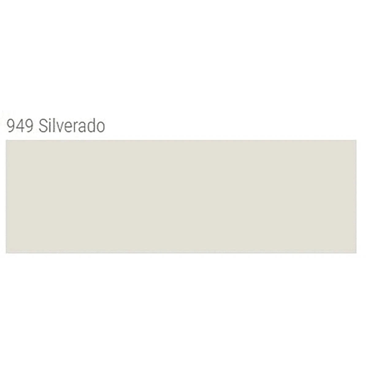 TEC AccuColor 100% Silicone Sealant 10.5 oz. tube silverado