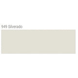 TEC AccuColor 100% Silicone Sealant 10.5 oz. tube silverado