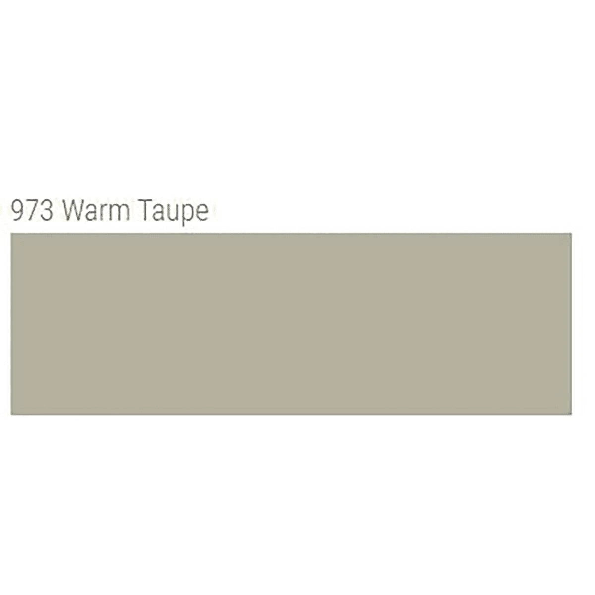 TEC AccuColor 100% Silicone Sealant 10.5 oz. tube warm taupe