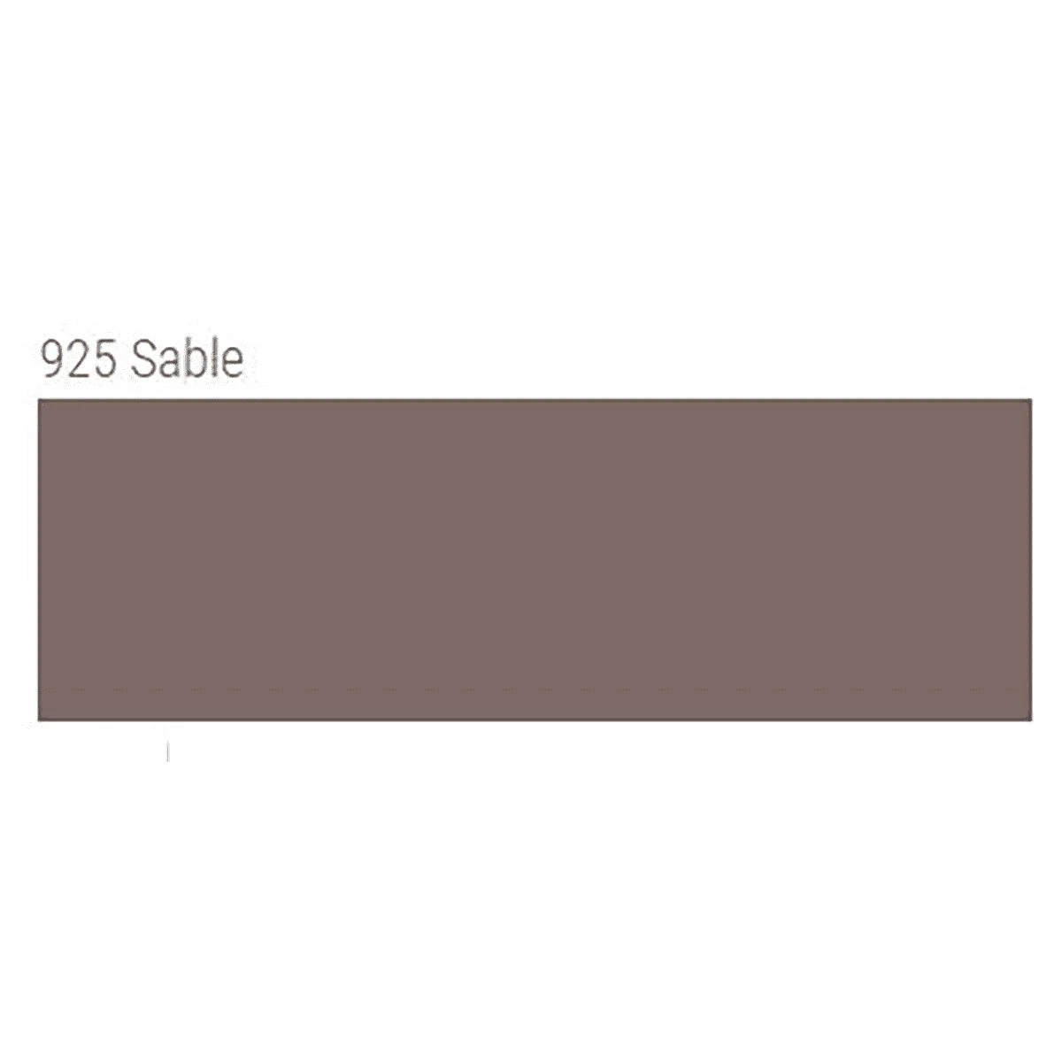 TEC AccuColor TA-820 Unsanded Siliconized Acrylic Latex Caulk 10.5 fl. oz sable