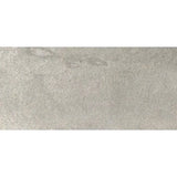 VersaLite Thin Stone Veneer Silver Shine